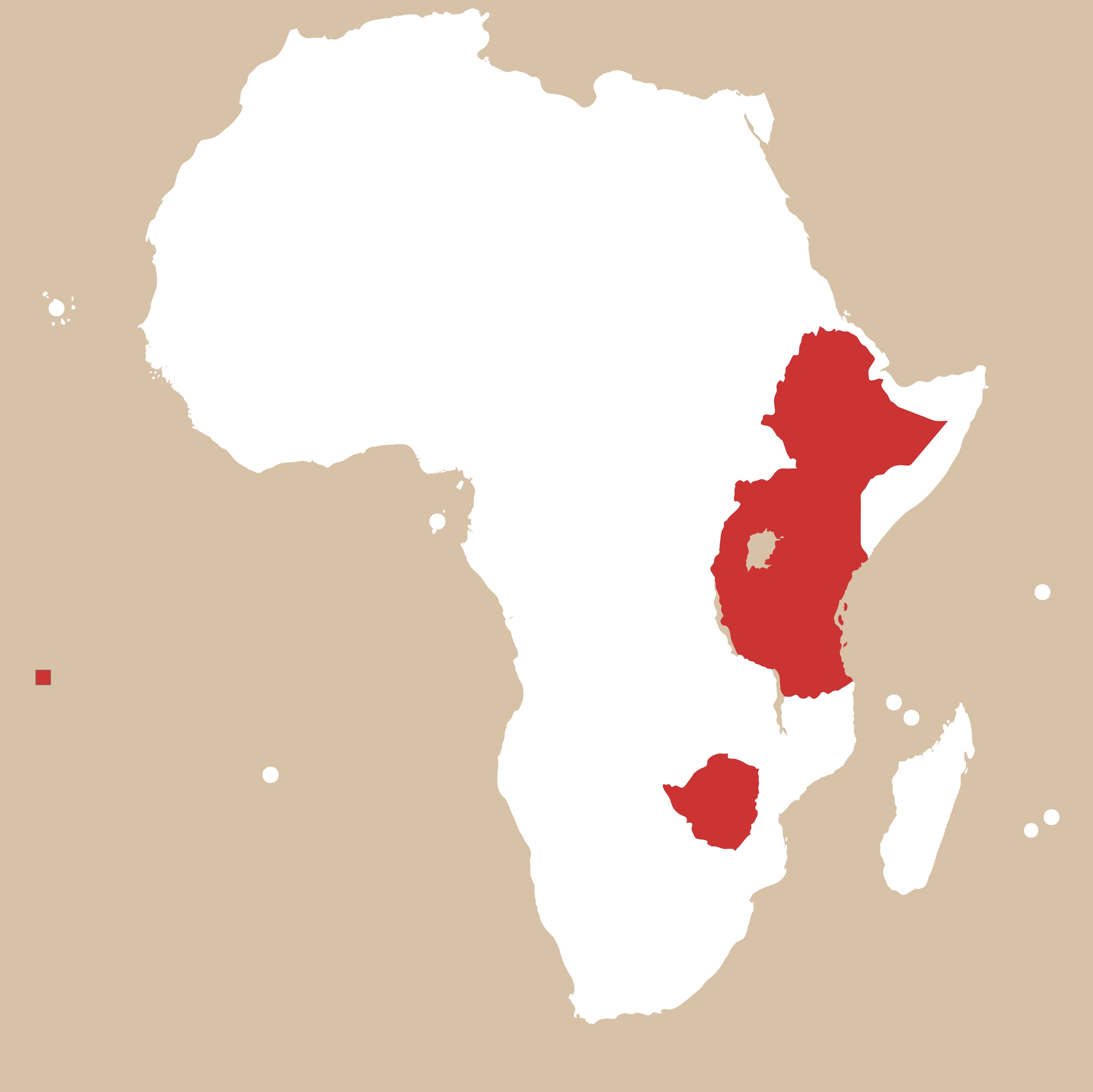 ☆ africancoffee☆ African Coffee Beans | The Roasterie – The Roasterie