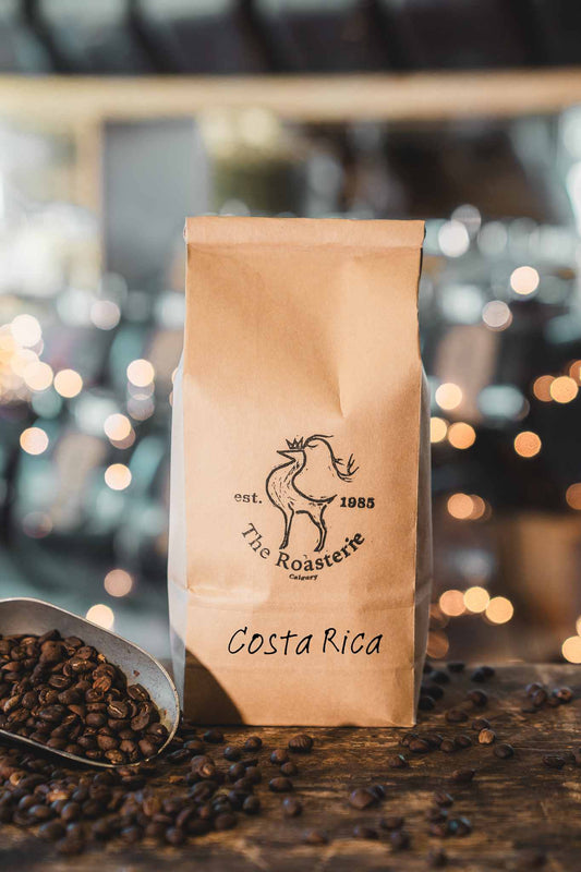 Fresh coffee beans from Costa Rica, region Tarrazu.