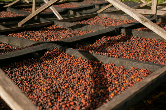 Colombia San Martin