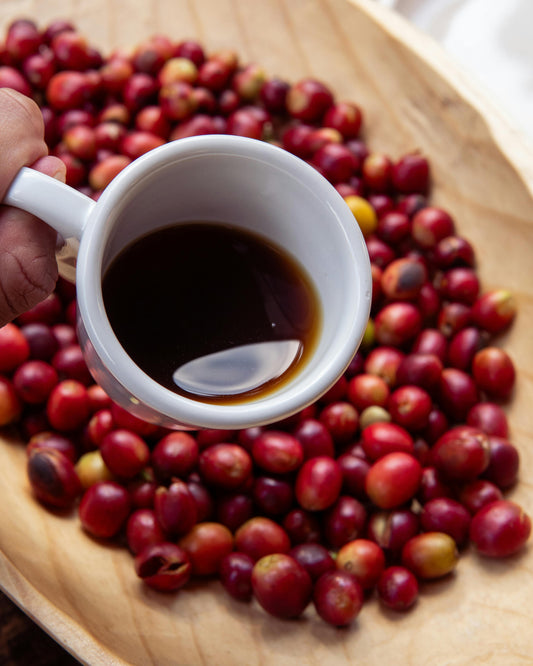 Mexican Microlot Coffee: Small Farms, Big Flavour