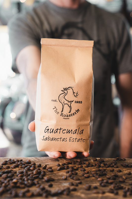 Guatemala Sabanetas Estate