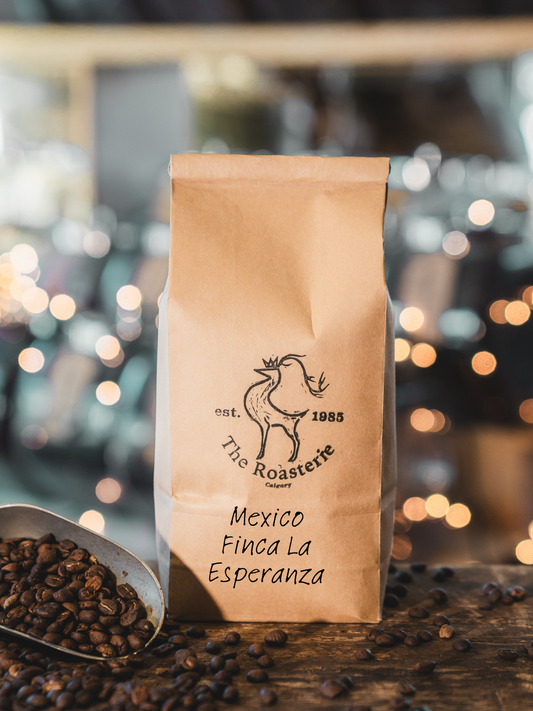 Mexico Esperanza