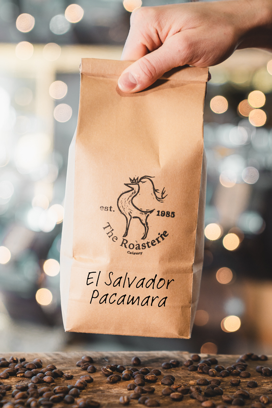 El Salvador - Pacamara