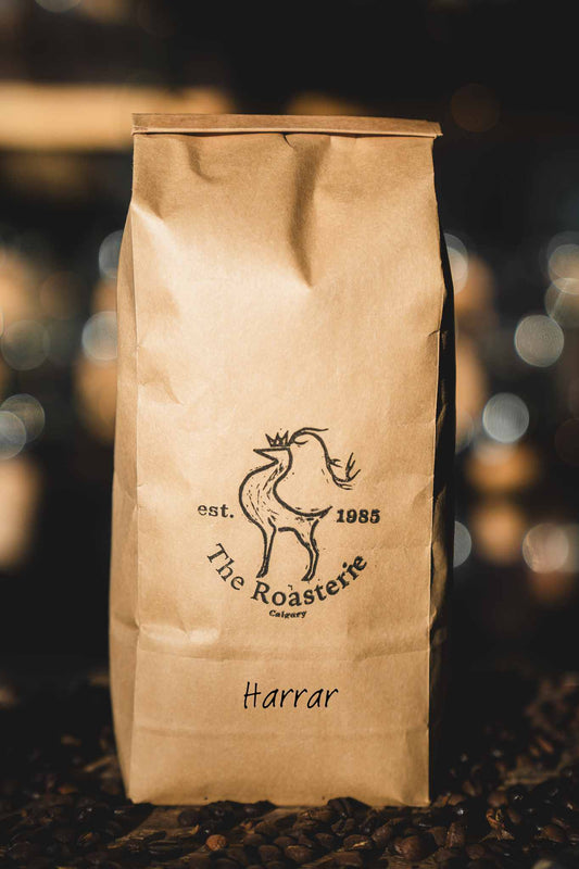 One of the most popular ethiopian beans at the roasterie - harrar.